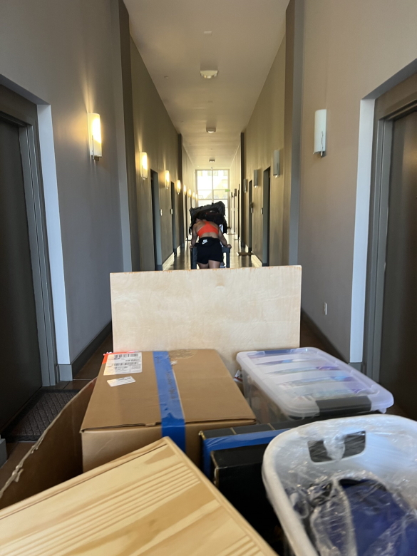 The Professional movers in Nola company offers clients services for moving from their personal place of residence to a new place of residence